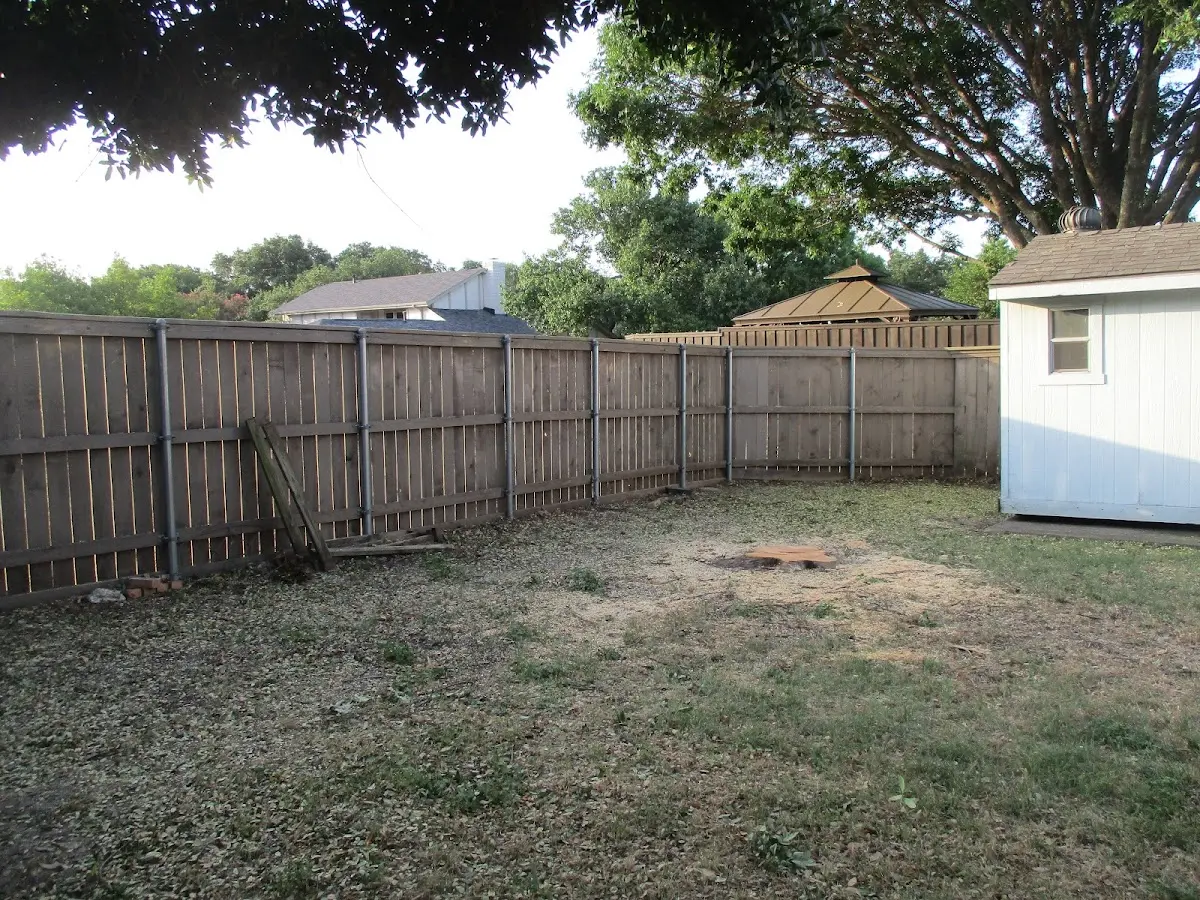 Cleared yard after professional tree removal in East Bernstadt