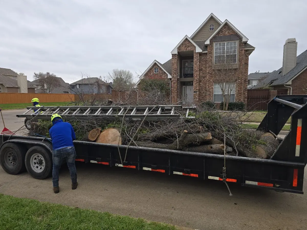 Expert Crown Reduction with proper safety equipment in East Bernstadt